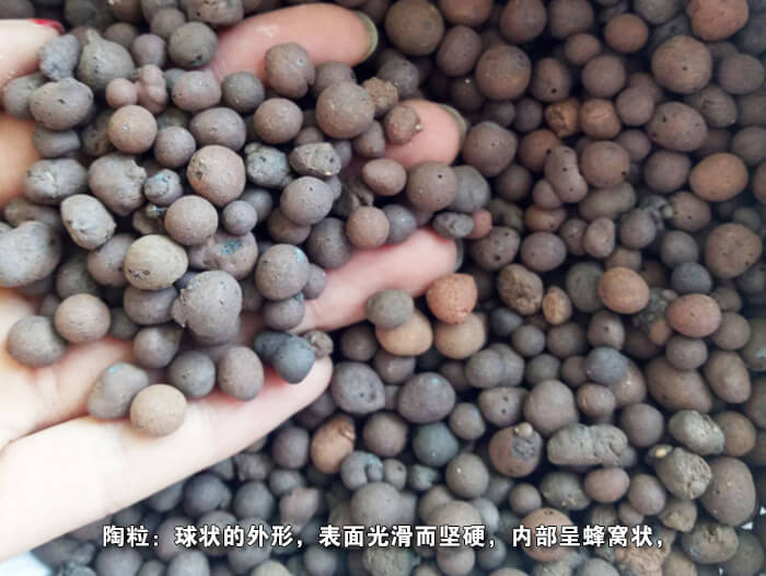 �AͲ���D(zhu��n)�Y�Y������